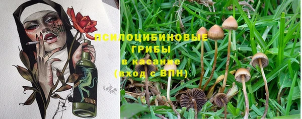 spice Верея