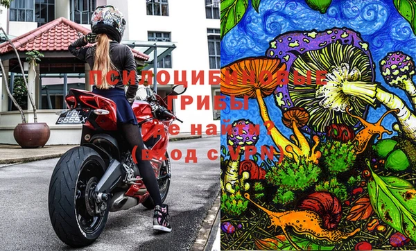 jwh Бородино