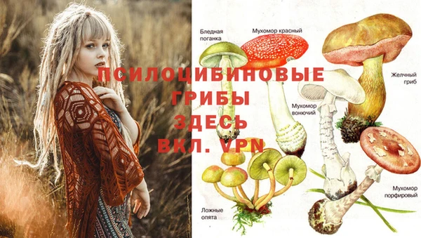 spice Верея
